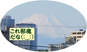 20110110 富士山　邪魔 小.png