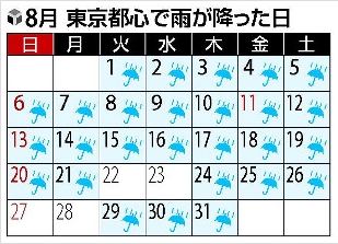 8月の雨.jpg